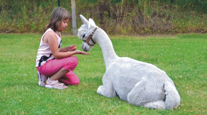 Tiergestützte Therapie