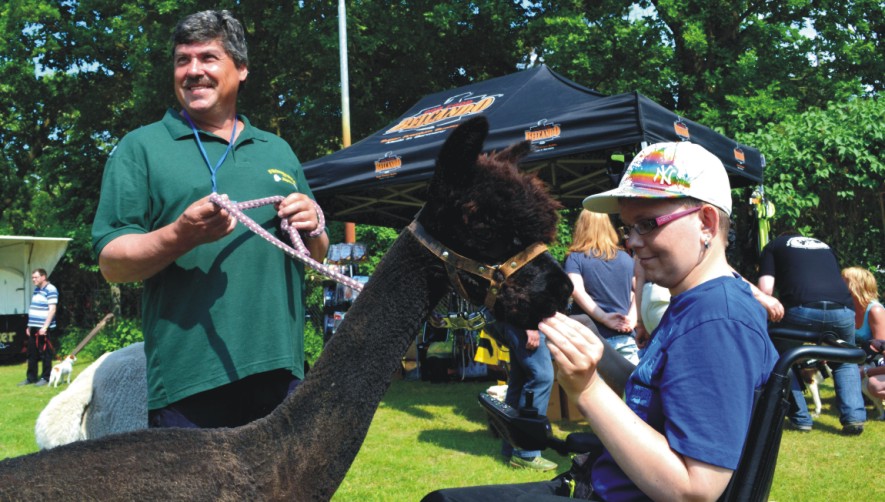 Tiergestützte Therapie Alpaka ,.....