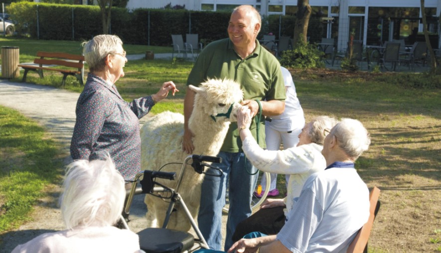 Tiergestützte Therapie Alpaka ,,.